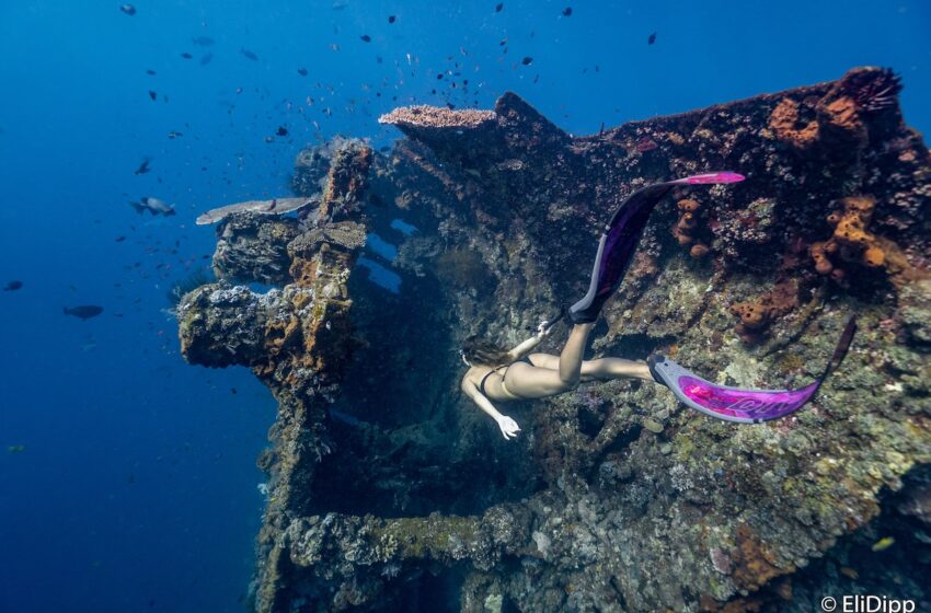  Freediving in Bali: Best Dive Schools for Beginners & Experts