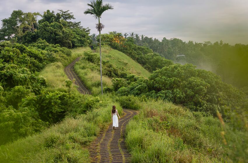  Bali for First-Time Travelers: Essential Tips for a Stress-Free Vacation